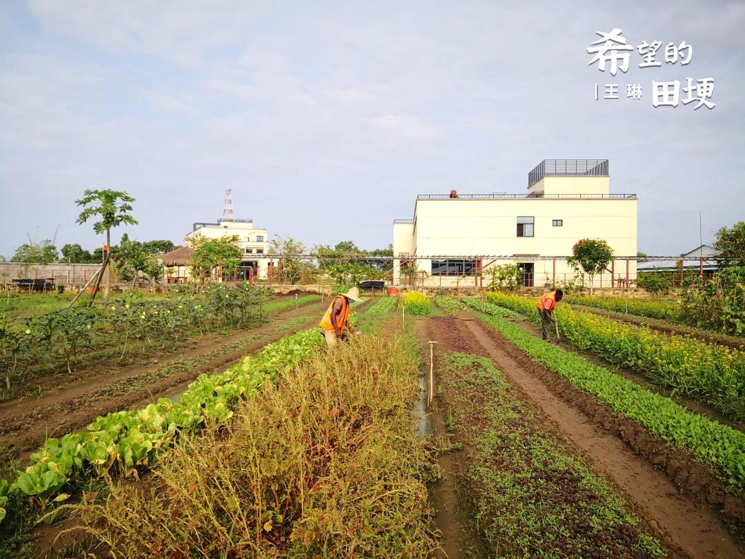WG电子游戏 - 最新热点电子游戏平台 | 在线游戏履历